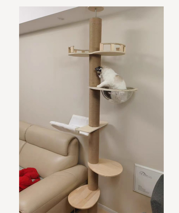 cat Climbing Frame