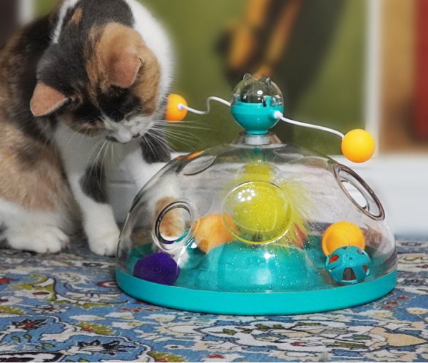 Interactive Cat Toy 004