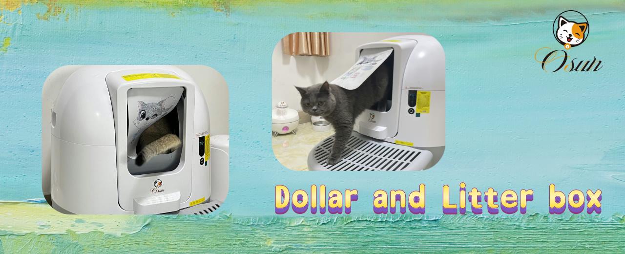Dollar's Adventure with the Osun Petsmart Automatic Cat Litter Box